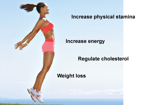 Increase physical stamina, increase energy, regulate cholesterol, weight loss